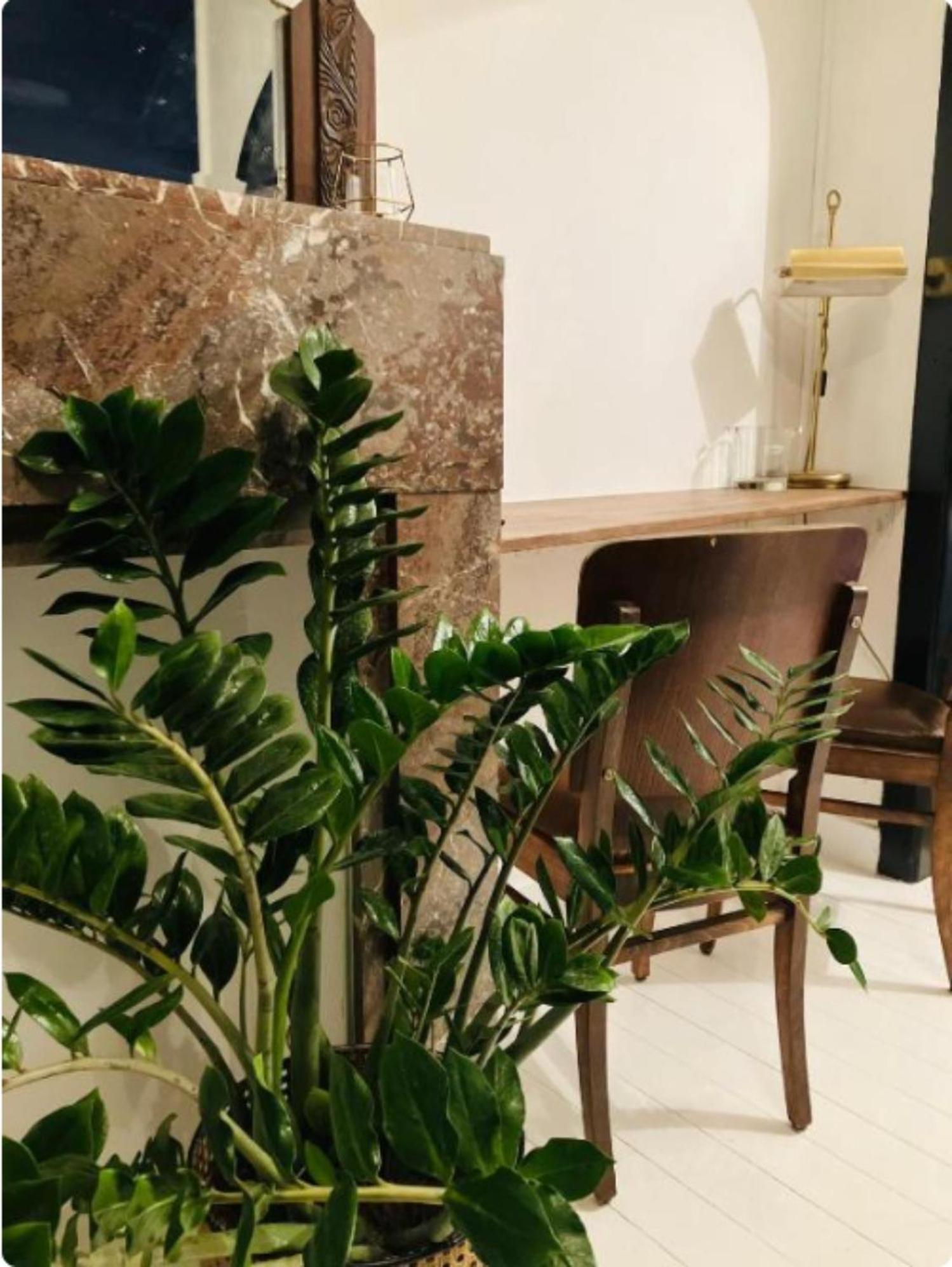 Bnb Suikernest Antwerpen Ngoại thất bức ảnh